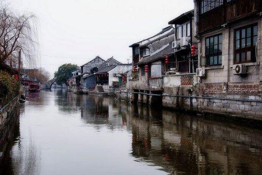 森系丛林